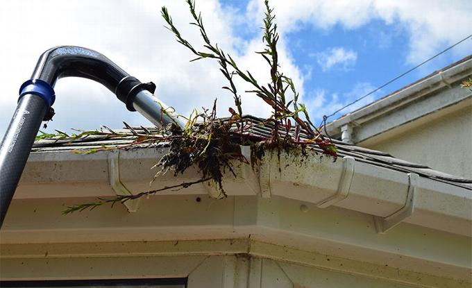 Gutter hoover pulling out plants growing in the gutter of a house